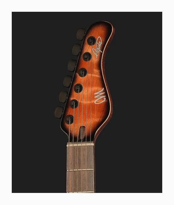 Mayones Guitars Aquila Elite V24 S6 Redwood BB, pickup e manopole dei controlli