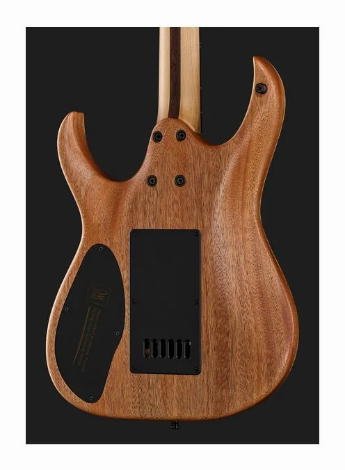 Mayones Guitars Duvell Elite 4Ever 6 PB, paletta con meccaniche e logo