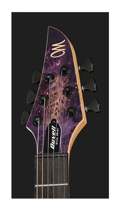 Mayones Guitars Duvell Elite 4Ever 6 PB, paletta con meccaniche e logo