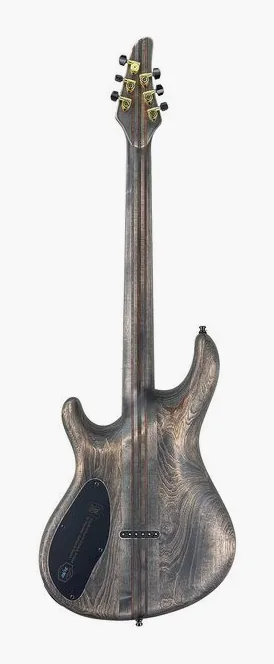 Mayones Guitars Regius 6 Gothic NAMM'26, paletta con meccaniche e logo