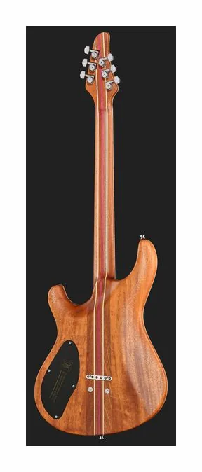 Mayones Guitars Regius Core 6 AMH, profilo laterale del corpo