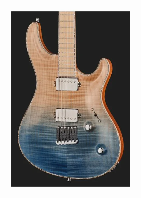 Mayones Guitars Regius Core 6 AMH, pickup e manopole dei controlli