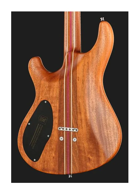 Mayones Guitars Regius Core 6 AMH, curve del body viste dall'alto