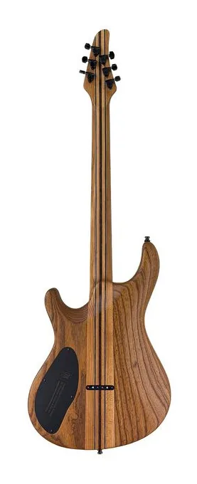 Mayones Guitars Regius Core 6 Poplar, pickup e manopole dei controlli