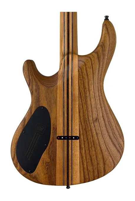 Mayones Guitars Regius Core 6 Poplar, ponte e meccaniche di intonazione
