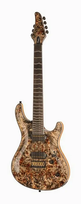 Mayones Guitars Regius Core 7 Trans Graphite visto di fronte