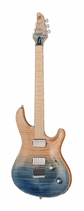 Mayones Guitars Regius Core 6 AMH visto di fronte