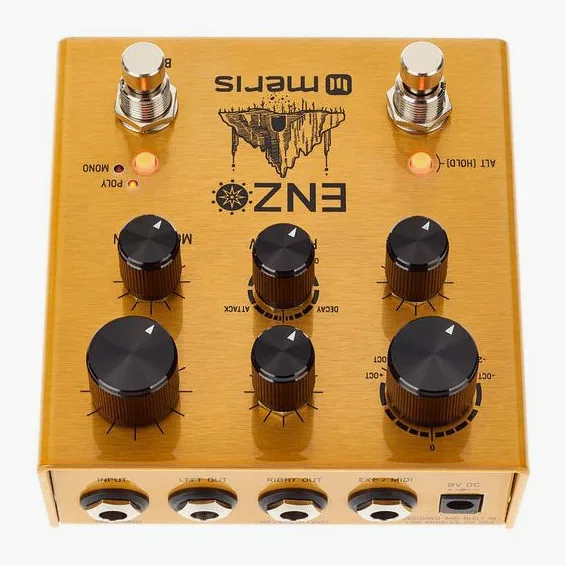 Meris Enzo Multi-Voice Synthesizer, led e interruttore a pedale