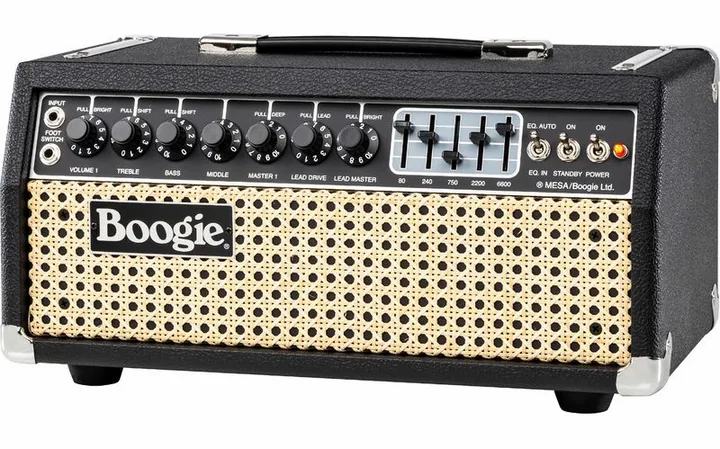 Mesa Boogie IIC+ HRG Head fotografato frontalmente