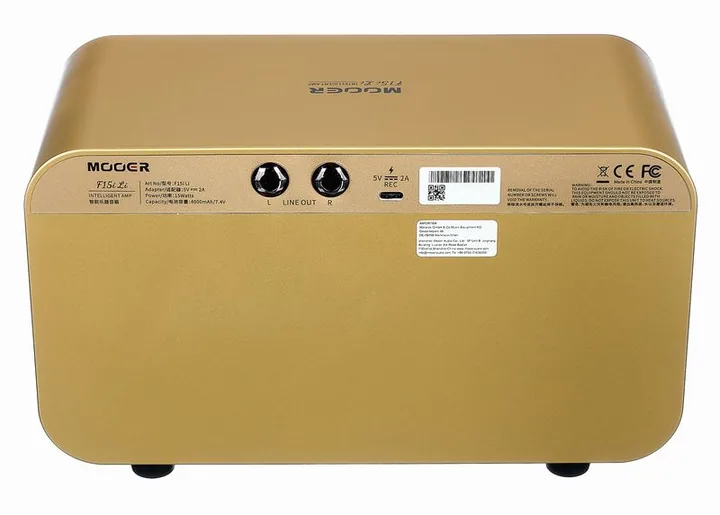 Mooer F15i Li Modeling Guitar IG, retro con le prese di collegamento