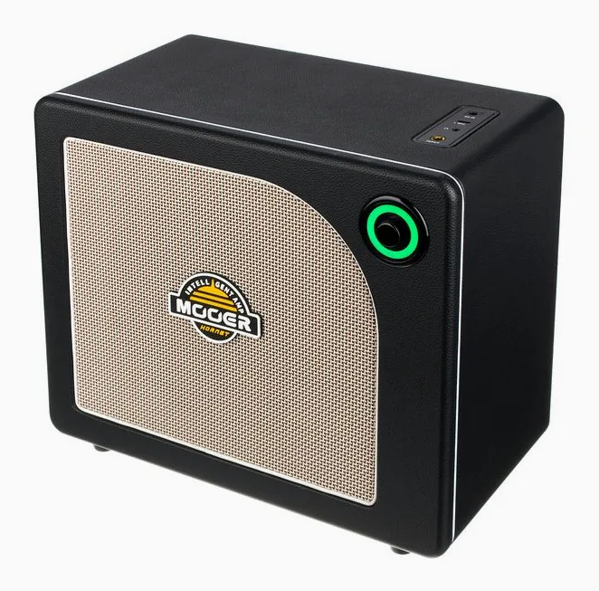 Mooer Hornet 30i Modeling Amp Black, logo e finiture del pannello frontale