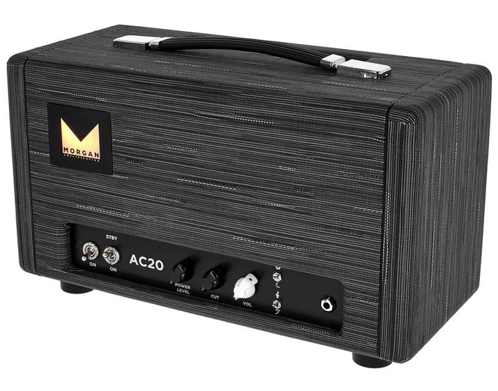 Morgan Amplification AC20 Head Twilight fotografato frontalmente