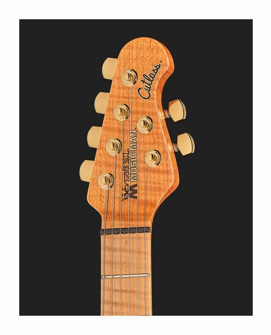 Music Man Jason Richardson Cutlass MP 6, vista posteriore del corpo