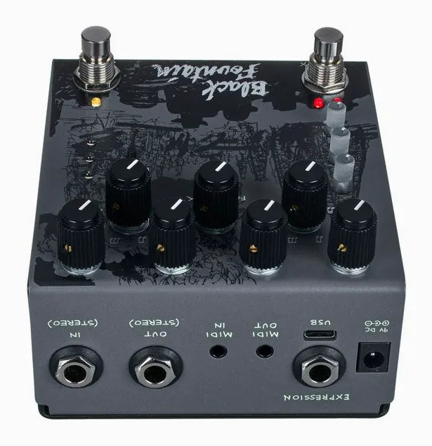 Old Blood Noise Endeavors Black Fountain Stereo Delay SL, footswitch in primo piano