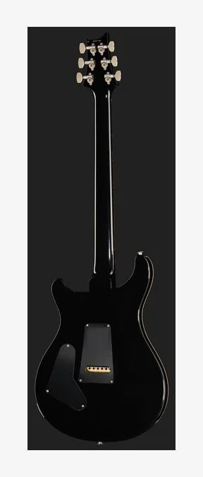 PRS 40th Anniv. Custom 24 SuZ, manico e tastiera visti di lato