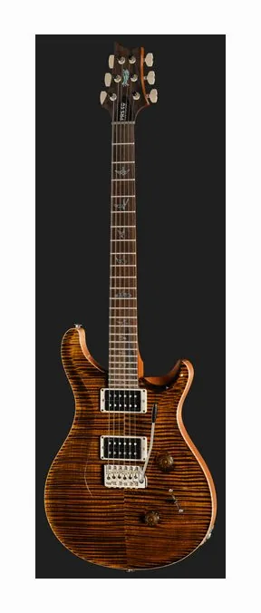 PRS 40th Anniversary Custom 24 TE, manico e tastiera visti di lato