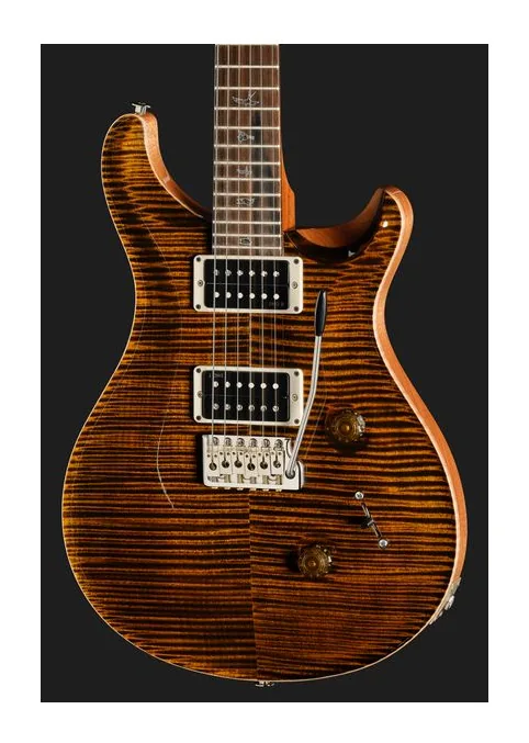 PRS 40th Anniversary Custom 24 TE, paletta con meccaniche e logo