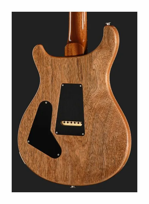 PRS 40th Anniversary Custom 24 TE, ponte e meccaniche di intonazione