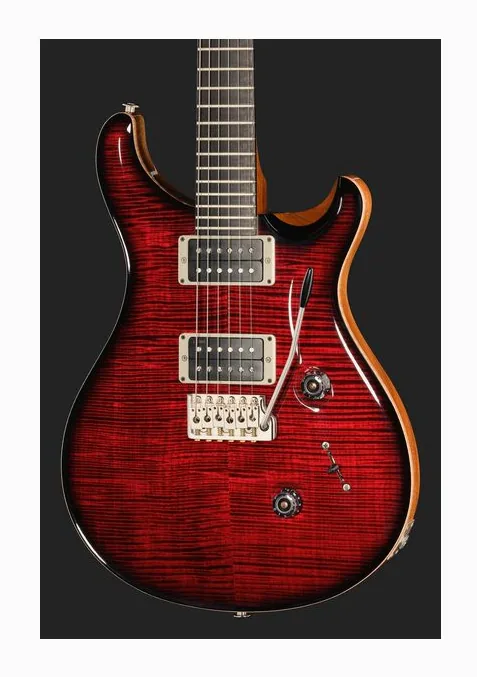 PRS Birds Of A Feather Custom 24 B, ponte e meccaniche di intonazione