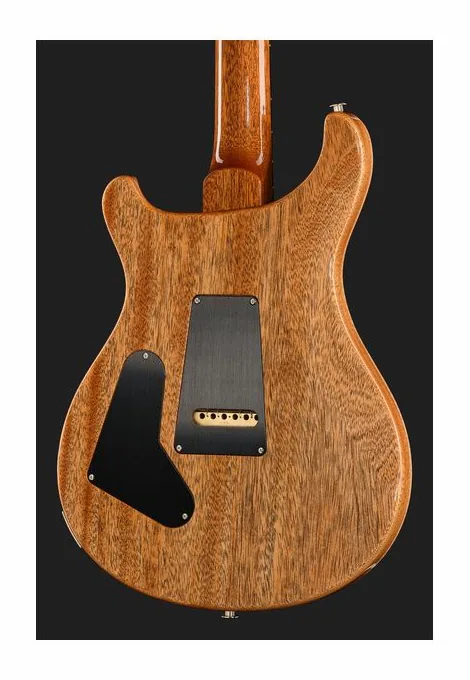 PRS Birds Of A Feather Custom 24 B, selettore pickup e jack di uscita
