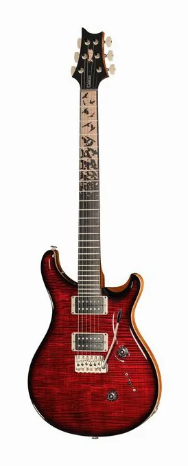 PRS Birds Of A Feather Custom 24 B fotografato frontalmente