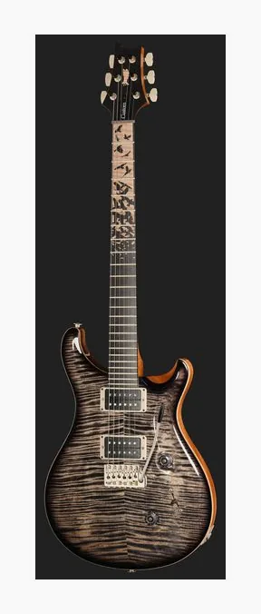 PRS Birds Of A Feather Custom 24 C, pickup e manopole dei controlli