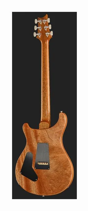 PRS Birds Of A Feather Custom 24 C, vista posteriore del corpo