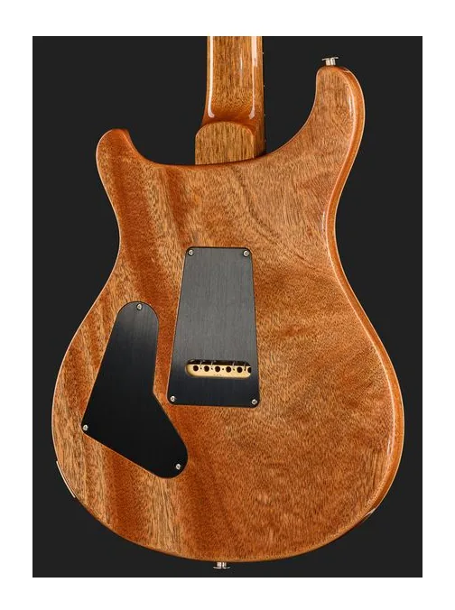 PRS Birds Of A Feather Custom 24 C, corpo e verniciatura in primo piano