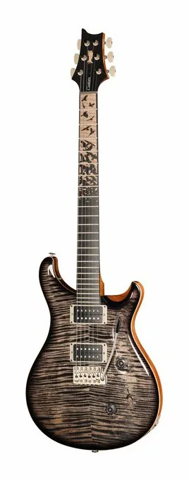 PRS Birds Of A Feather Custom 24 C inquadrato di fronte su sfondo neutro