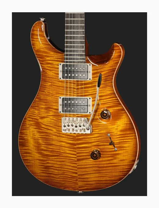 PRS Birds Of A Feather Custom 24 H, vista posteriore del corpo