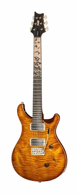 PRS Birds Of A Feather Custom 24 H fotografato frontalmente