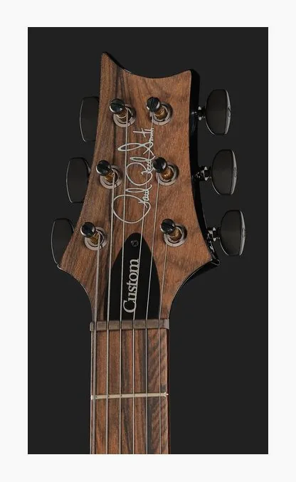 PRS Custom 24-08 Mango LTD PM, pickup e manopole dei controlli