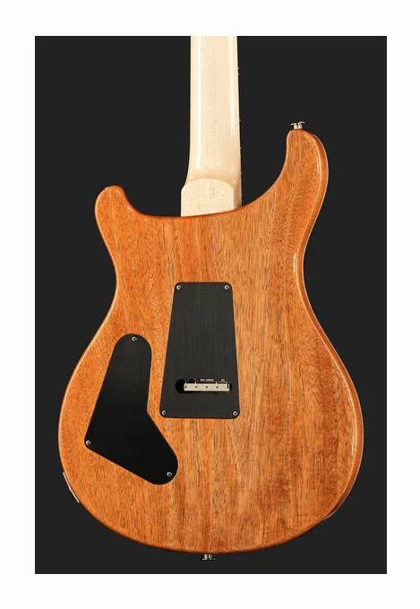 PRS Custom 24 Floyd 10 Top CH, corpo e verniciatura in primo piano
