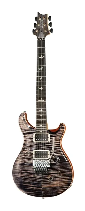 PRS Custom 24 Floyd 10 Top CH visto di fronte