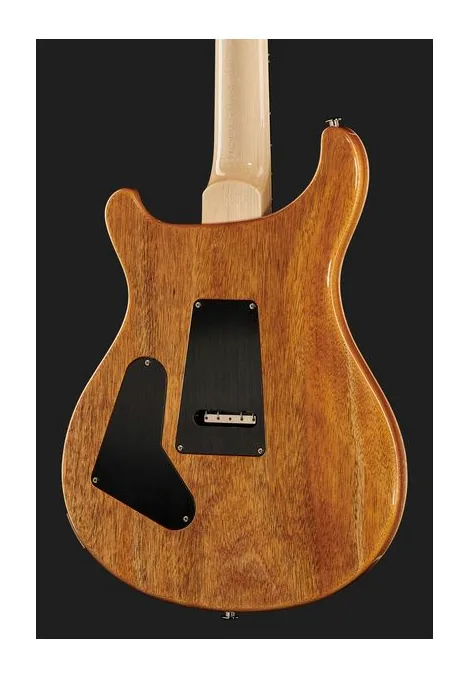 PRS Custom 24 Floyd 10 Top CH 2024, capotasto e prime posizioni della tastiera