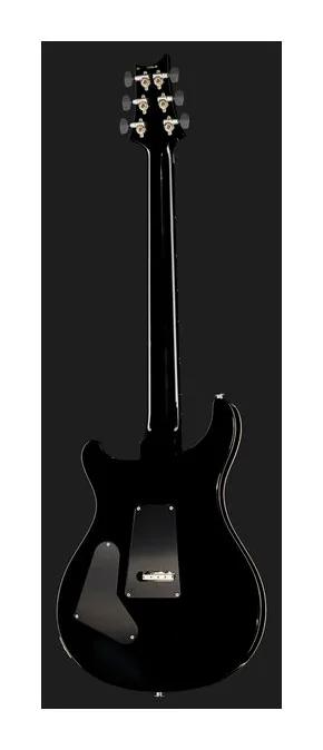 PRS Custom 24 Floyd FW, manico e tastiera visti di lato