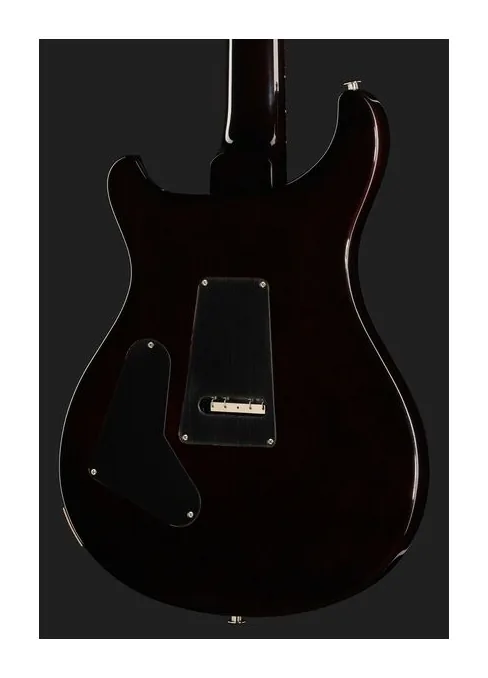 PRS Custom 24 Floyd BGWB, pickup e manopole dei controlli