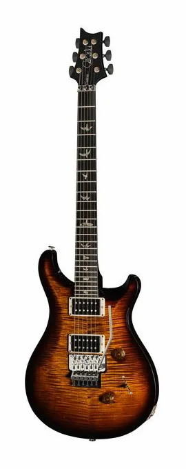 PRS Custom 24 Floyd BGWB visto di fronte