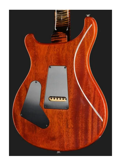 PRS Custom 24 WL Burnt Maple Leaf, manico e tastiera visti di lato