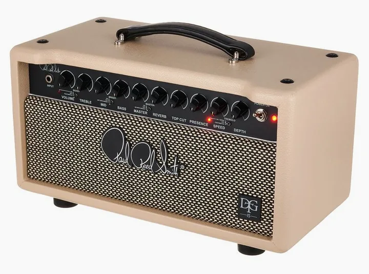 PRS DGT 15 Head, logo e finiture del pannello frontale