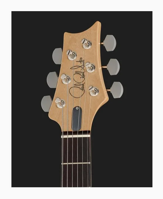 PRS JM Silver Sky RW Mojave Brown, pickup e manopole dei controlli