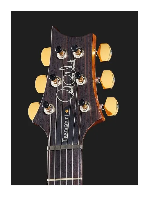 PRS Mark Tremonti CH 10 Top, manico e tastiera visti di lato