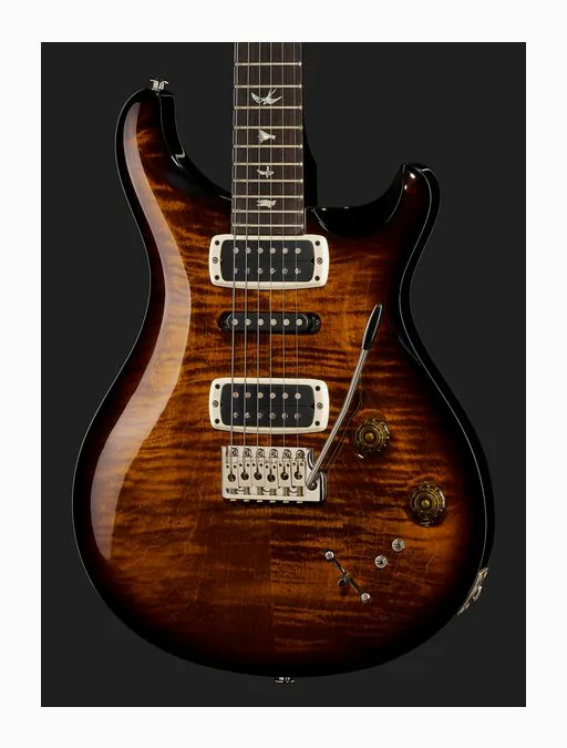 PRS Modern Eagle V BW, paletta con meccaniche e logo