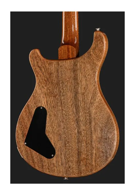 PRS Paul's Guitar Mango LTD TE, ponte e meccaniche di intonazione