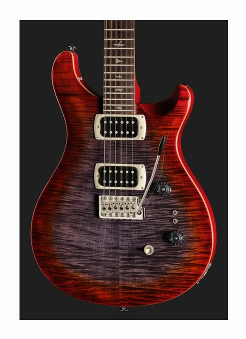 PRS SE Custom 24-08 CG, paletta con meccaniche e logo
