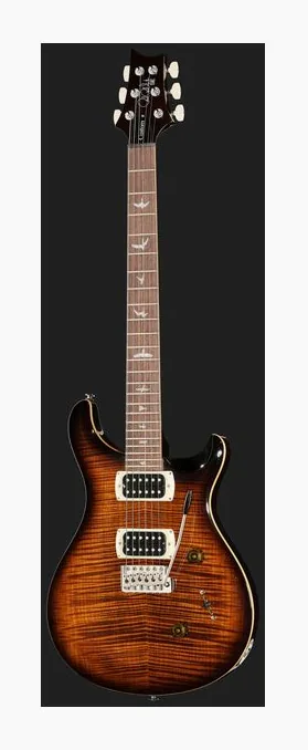 PRS SE Custom 24 BG, pickup e manopole dei controlli