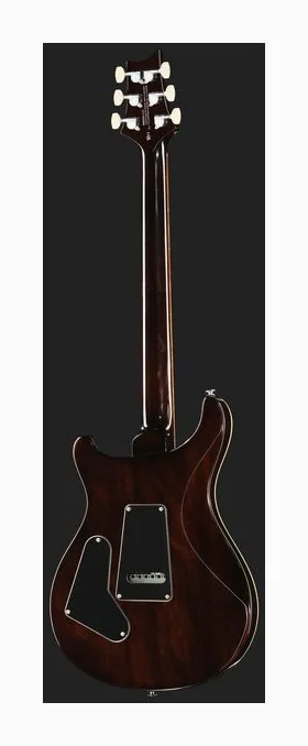 PRS SE Custom 24 BG, paletta con meccaniche e logo