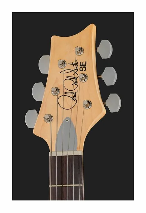 PRS SE Silver Sky Dandy Lion, vista posteriore del corpo