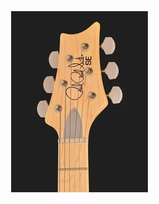 PRS SE Silver Sky Nylon Blue, paletta con meccaniche e logo