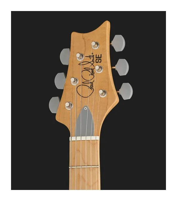 PRS SE Silver Sky Stone Blue Maple, pickup e manopole dei controlli